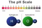 pH-Asam-dan-Basa.jpg