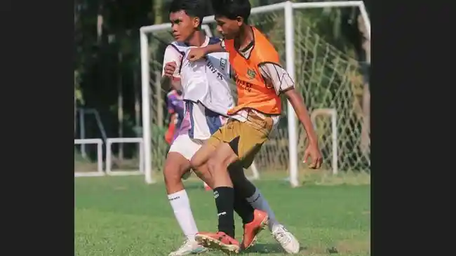Tribun