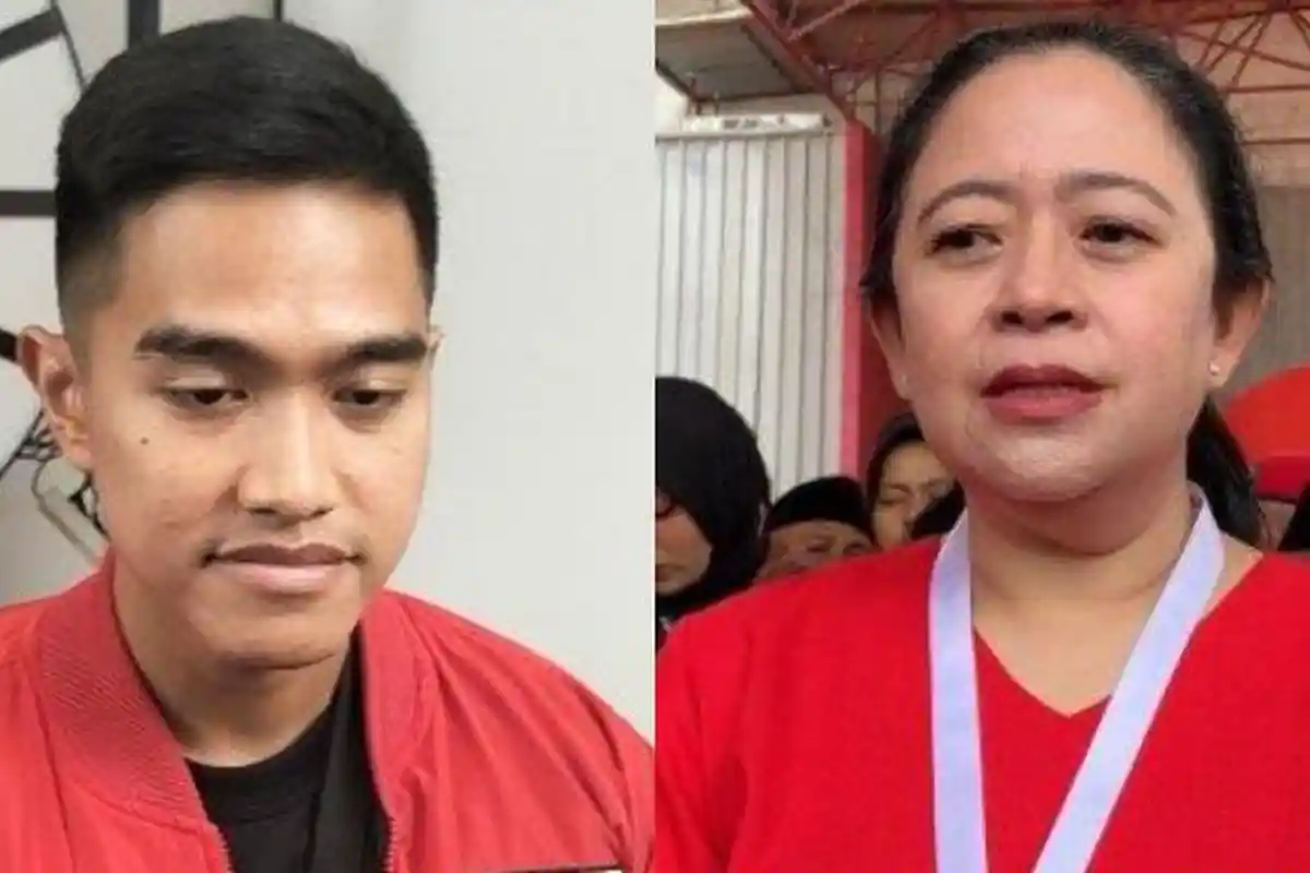 Puan Akui PDIP Pertimbangkan Usung Kaesang di Pilkada Jawa Tengah 2024