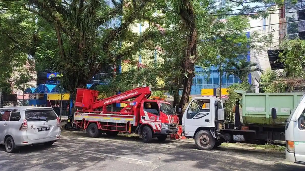 Dinas Lingkungan Hidup Pangkas Pohon di Jalan Samrat Manado Sulawesi Utara