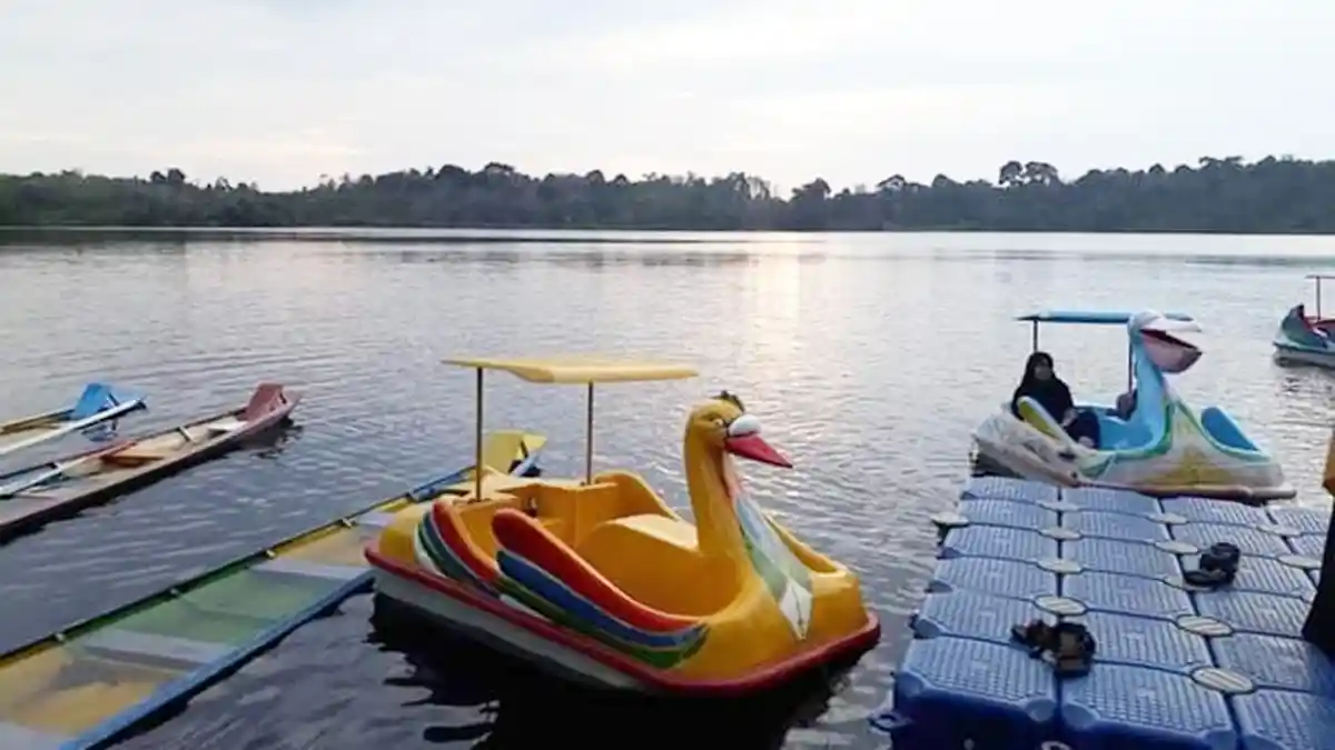 Wisata Alam di Tepi Danau Rayo di Muratara, Kini Suguhkan Taman Bunga Warna-warni