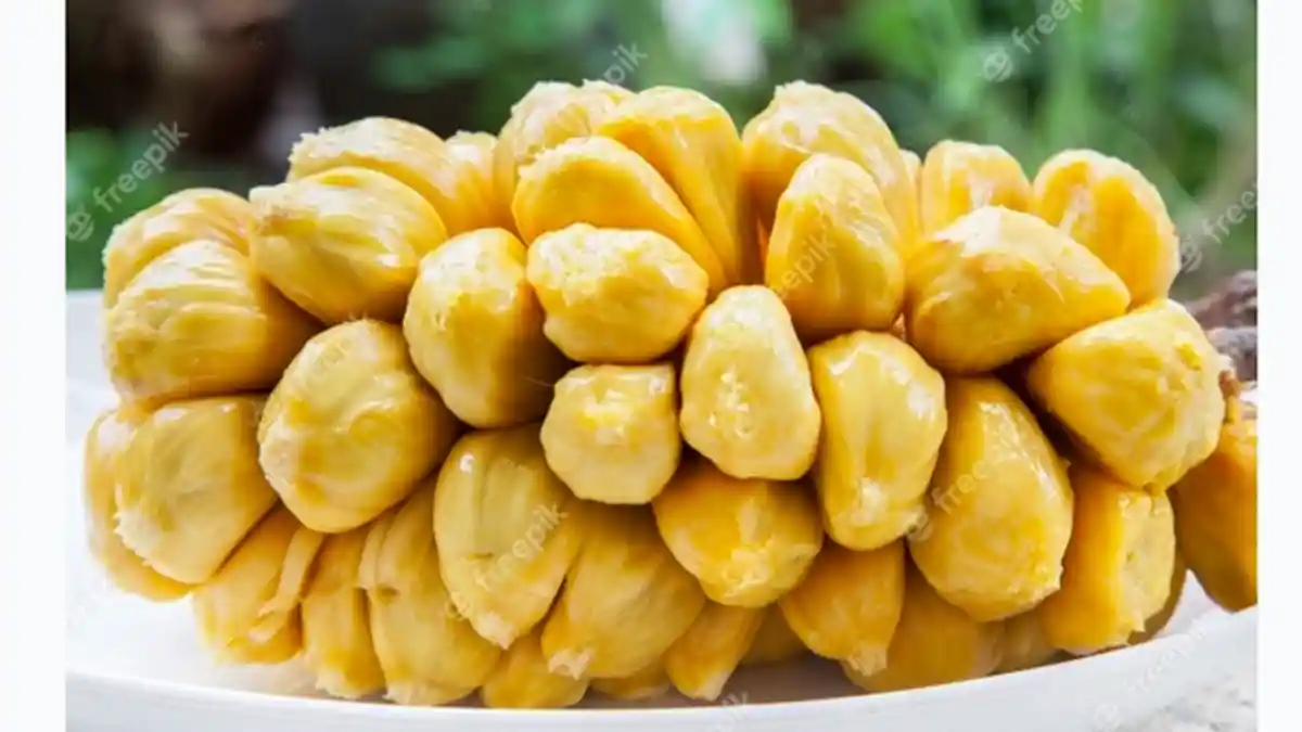 9 Manfaat Buah Cempedak Bagi Kesehatan, Cegah Risiko Stroke dan Menurunkan Kolesterol dalam Darah