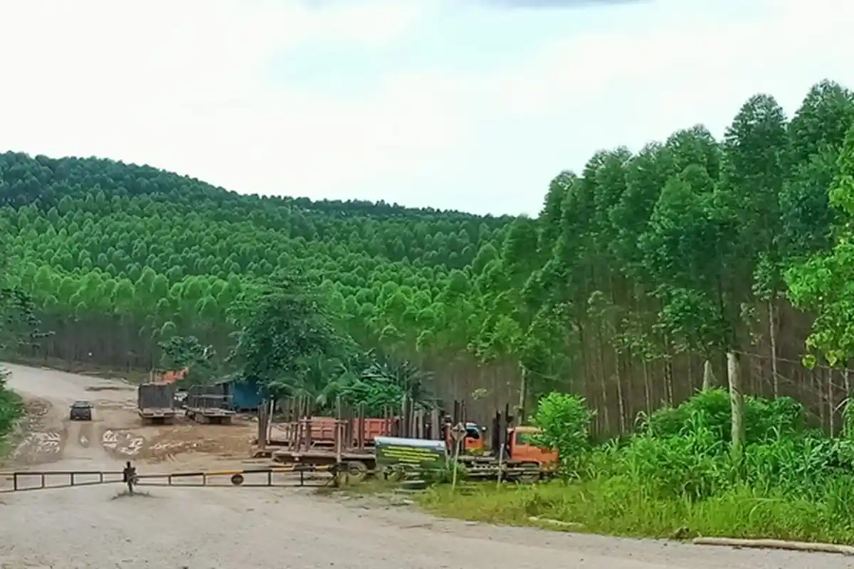 Dampak IKN Nusantara di Kaltim, Berikut Desa-desa yang Masuk Smart Village, Cegah Kesenjangan