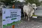 Sapi-Kurban-Presiden-Prabowo-Dibeli-dari-Peternak-di-Bantul-Beratnya-900-Kg-Harga-Rp90-Juta.jpg