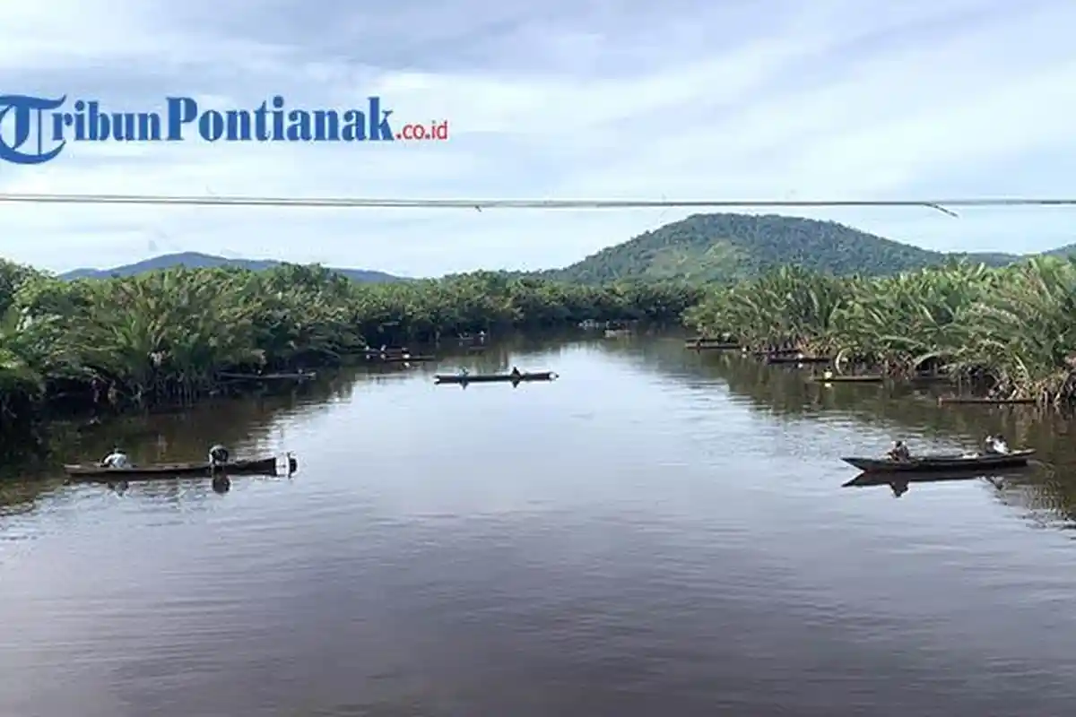Lomba Mancing Udang Galah, Citra Duani Harap Pelestarian Udang Semakin Ramai di Kayong Utara