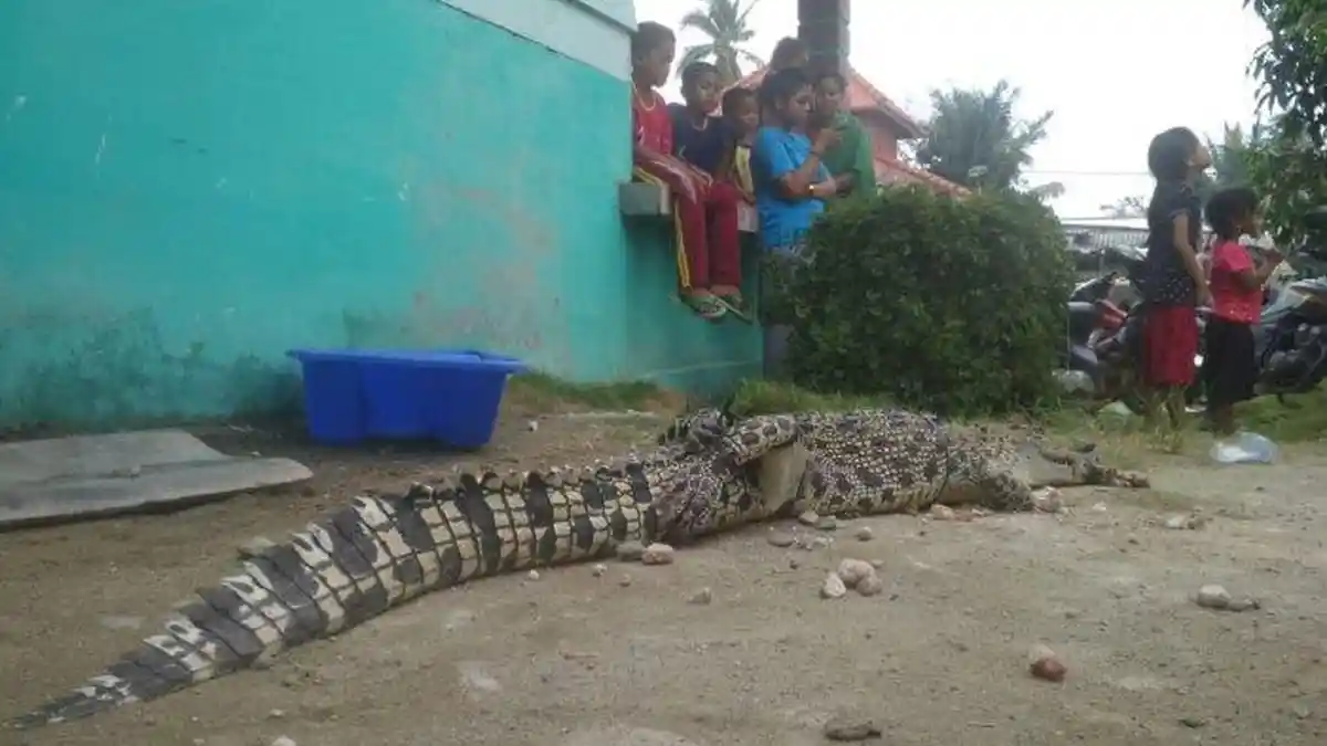 Pemandian Umum Jadi Sarang Buaya, Ini yang Dilakukan Warga