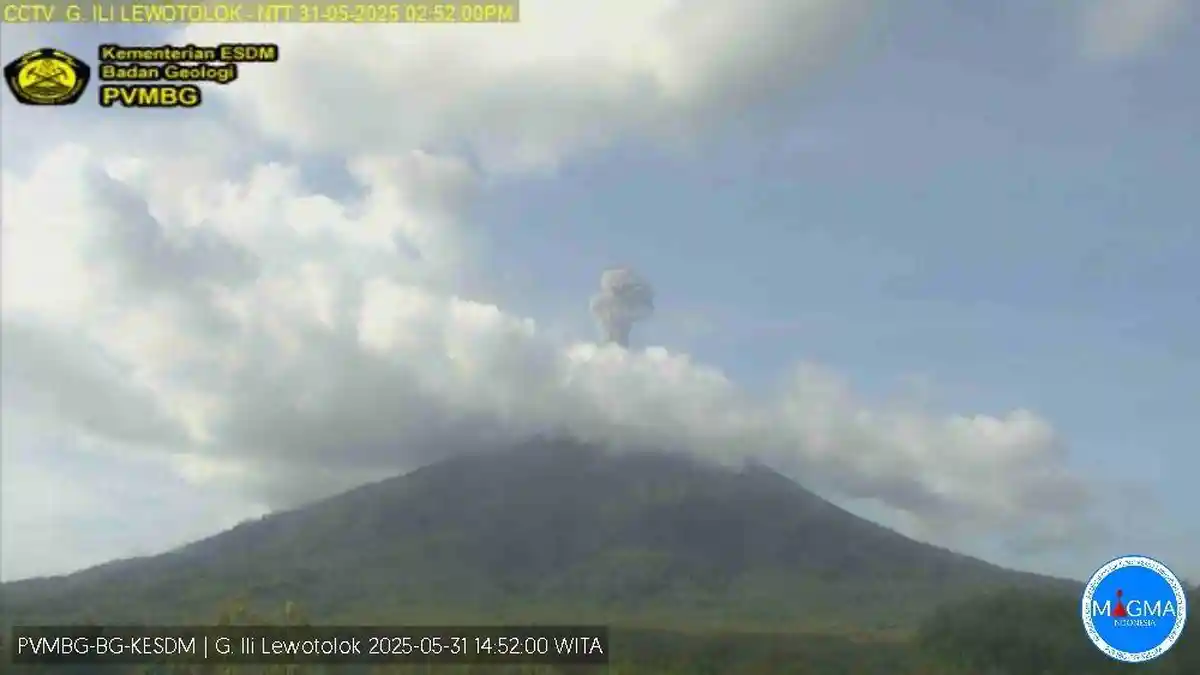 Gunung Ili Lewotolok Erupsi Sabtu Sore, Tinggi Kolom Letusan 800 Meter