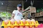 Peternak-Ayam-Petelur-Defi-Sugiato-di-Trenggalek-Senin-2552026.jpg