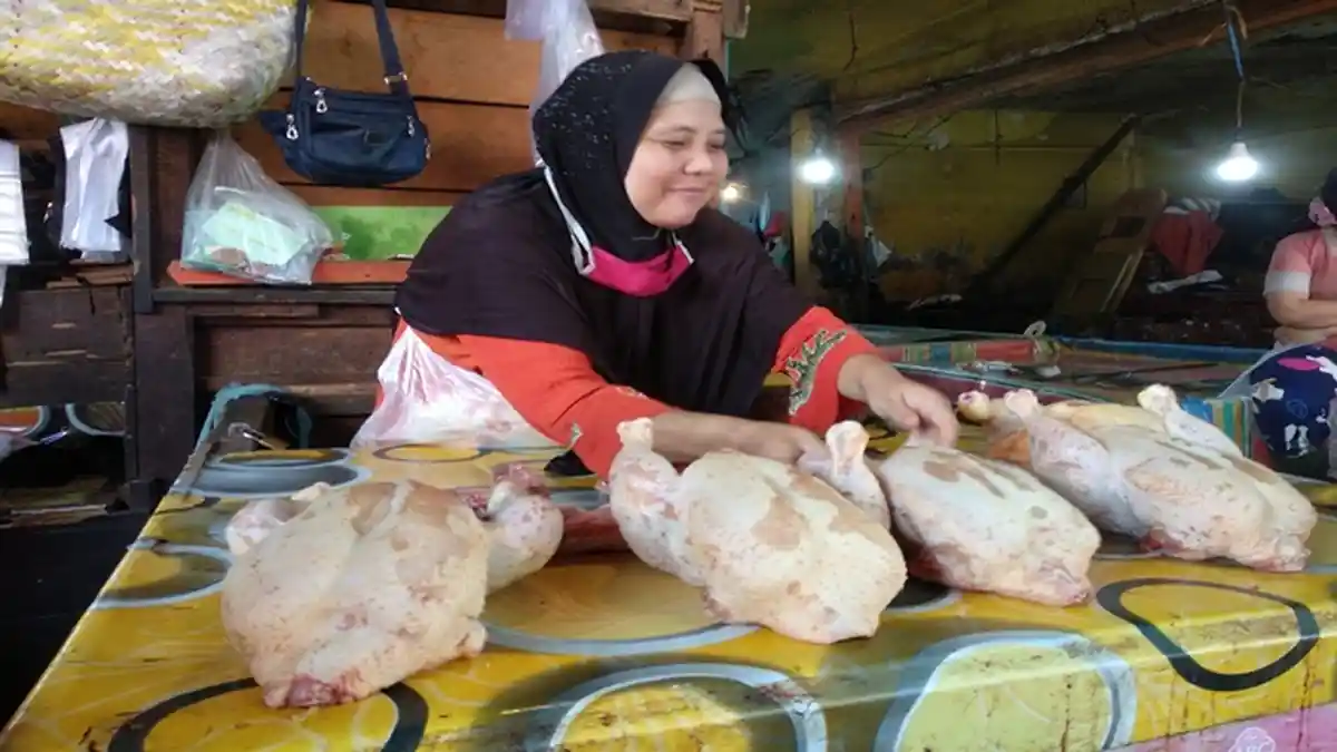 Update Harga Ayam Potong di Lubuklinggau, Ini Sebab Lima Hari Ini Turun Seribu Per Hari