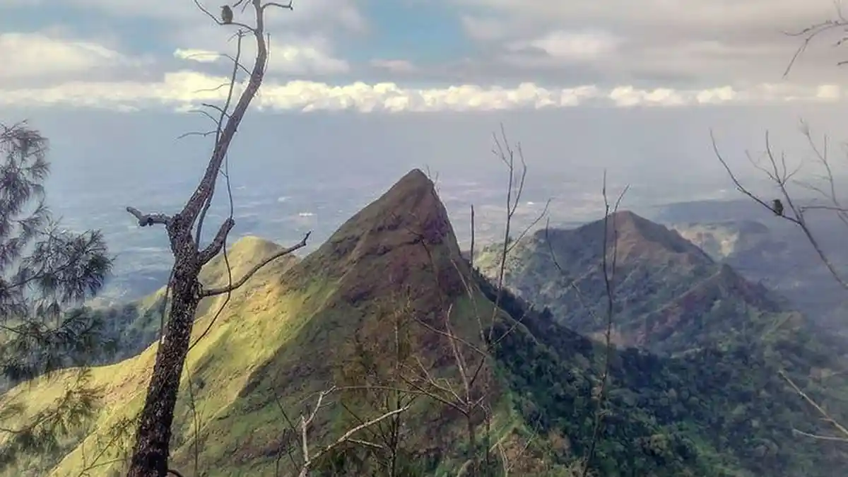 Ini Identitas Siswa SMA yang Ditemukan Tewas Jatuh di Gunung Piramid