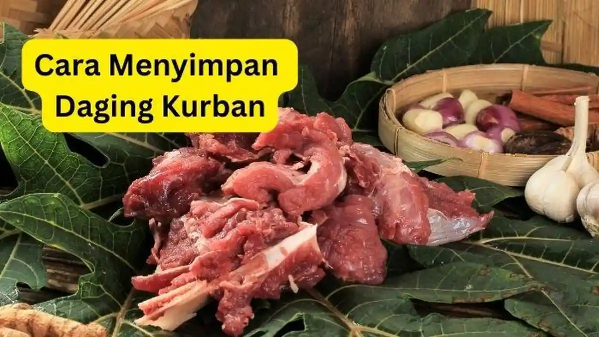 5 Tips Menyimpan Daging Kurban Idul Adha 2023 tanpa Kulkas, Tahan Lama dan Tidak Busuk