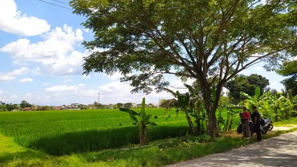 Politeknik Pariwisata Negeri Terbesar se-Indonesia Akan dibangun di Sragen Tahun Ini