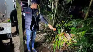 Petugas-dari-Polres-HST-lakukan-olah-TKP-di-lokasi-penganiyaan-berat-Kepsek-SDN-2-Mantaas.jpg