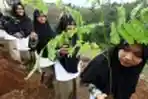 Pondok Quran Boarding School Tanam Pohon PLN