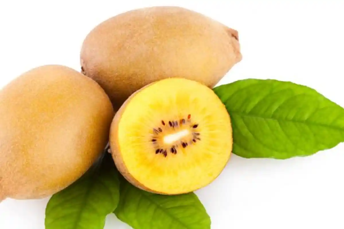 Jenis Makanan Berserat Tinggi yang Baik untuk Mencegah Ambeien dan Wasir