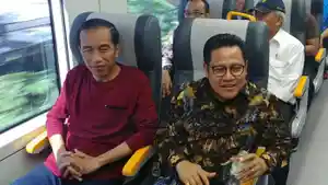 presiden-joko-widodo_20180218_081925.jpg