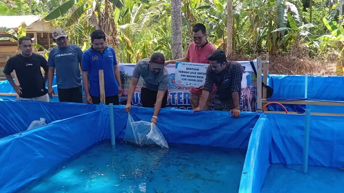 UND Jalin Kemitraan dengan PWI Nagan Raya, Salurkan Benih Ikan Lele 30 Ribu Ekor