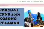 update-cpns-2019-login-sscnbkngoid-10-formasi-kosong-pelamar-peluang-lolos-besar-cek-gaji.jpg