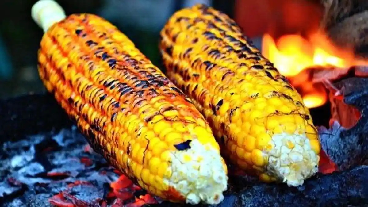 KUMPULAN Resep Bumbu dan Ide Menu Bakar-bakar untuk Malam Tahun Baru Nanti