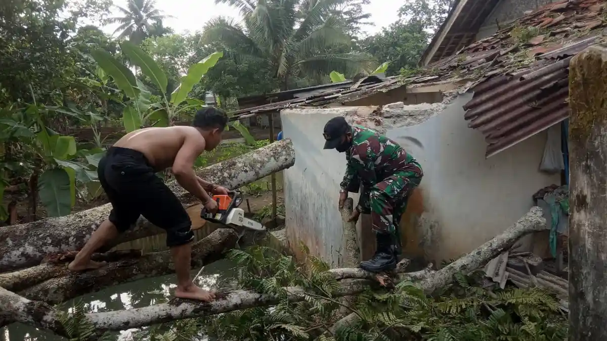 Satu Rumah Warga Rusak Tertimpa Pohon Petai Tumbang di Pamarican Ciamis