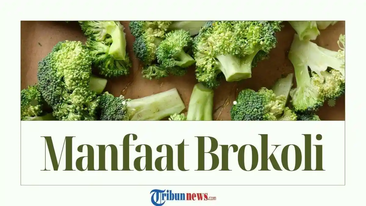 14 Manfaat Brokoli untuk Kesehatan Tubuh yang Jarang Diketahui