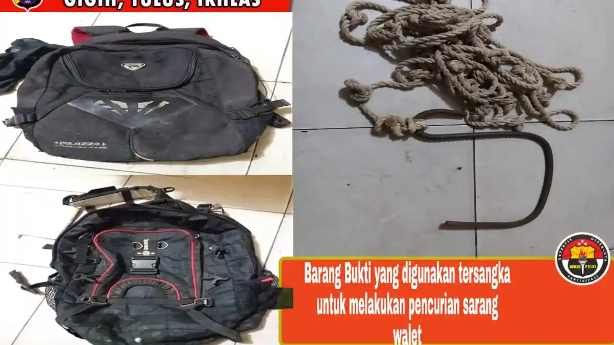 Polisi Amankan Komplotan Pencuri Sarang Burung Walet Pulangpisau, ini Identitasnya