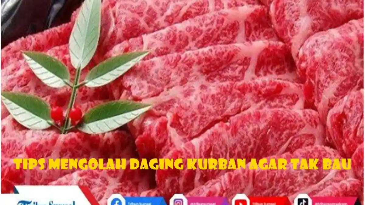 10 Tips Mengolah Daging Kurban Agar Tak Bau, Hilangkan Bau Amis Pakai Bahan Alami