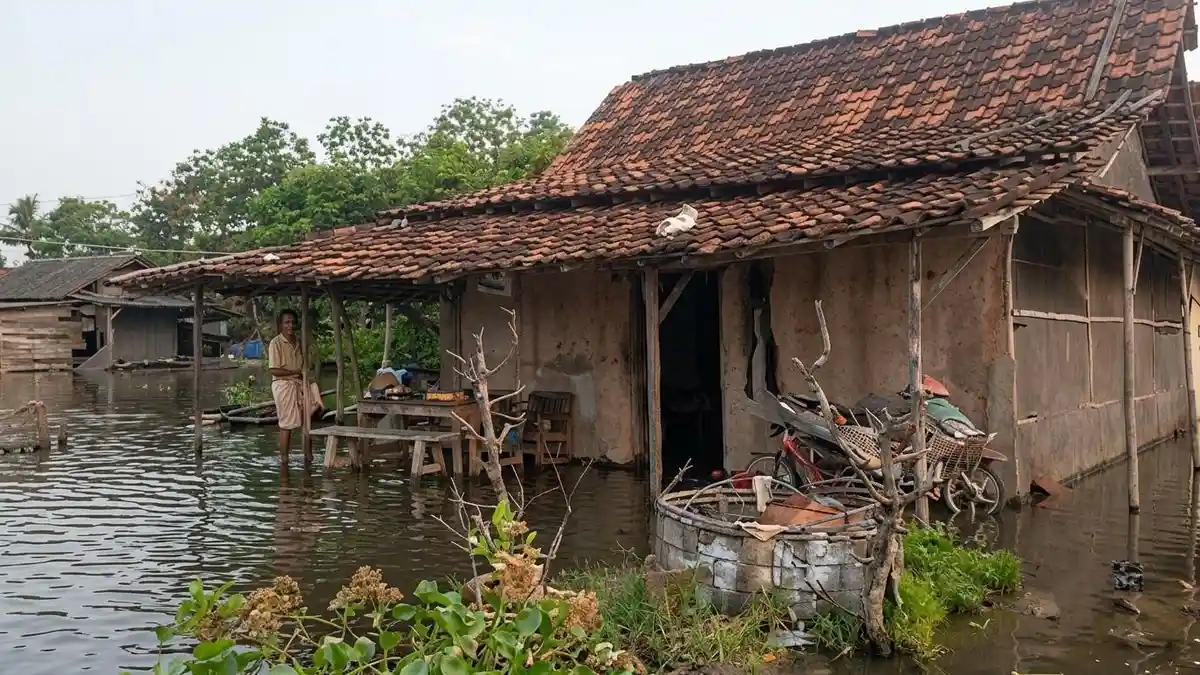 Menanti Giant Sea Wall, Warga Pilangsari Kendal 5 Tahun Bertahan dari Kepungan Rob