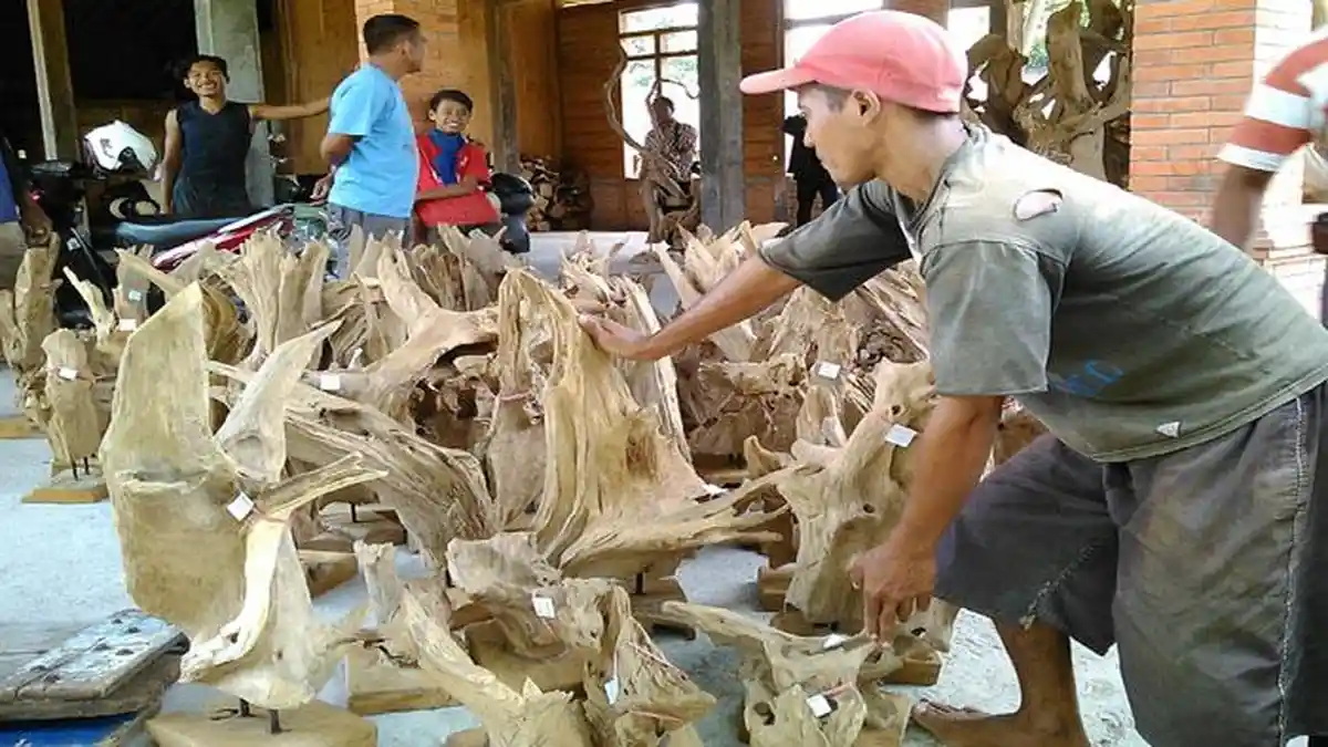 Sentra Kerajinan Akar Jati Tunggu Janji Jokowi Datangkan Desainer Prancis