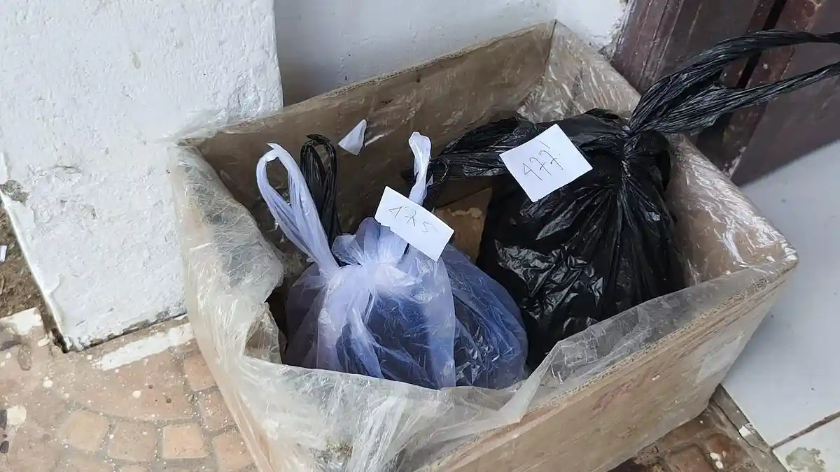 Kasus Digigit Anjing Meningkat di Toraja Utara, 58 Ekor Positif Rabies - Tribun-timur.com