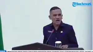 Benediktus-Luka-Raja-atau-Diki-Raja-DPRD-Sikka.jpg