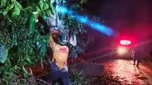 pohon-tumbang-di-ruas-jalan-Sawangan-Tanggari.jpg