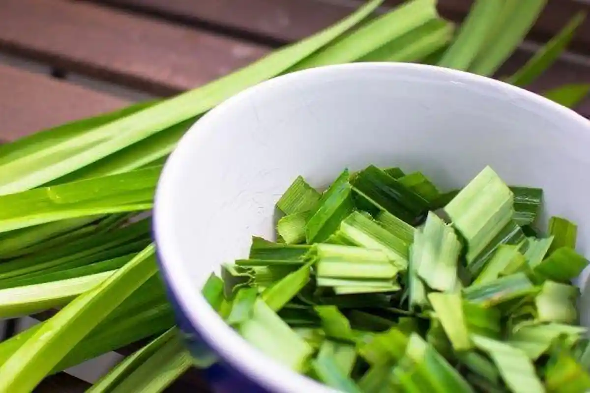 Resep Herbal Atasi Perut Kembung ala Zaidul Akbar dengan Pandan, Sereh dan Jahe