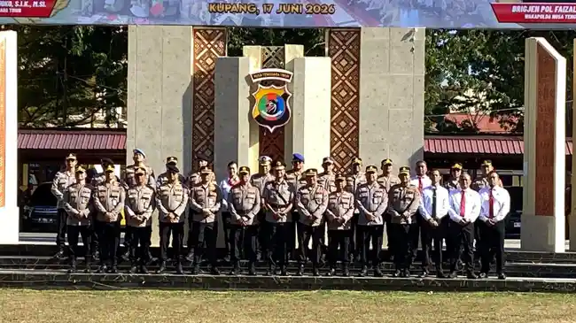 Tribun