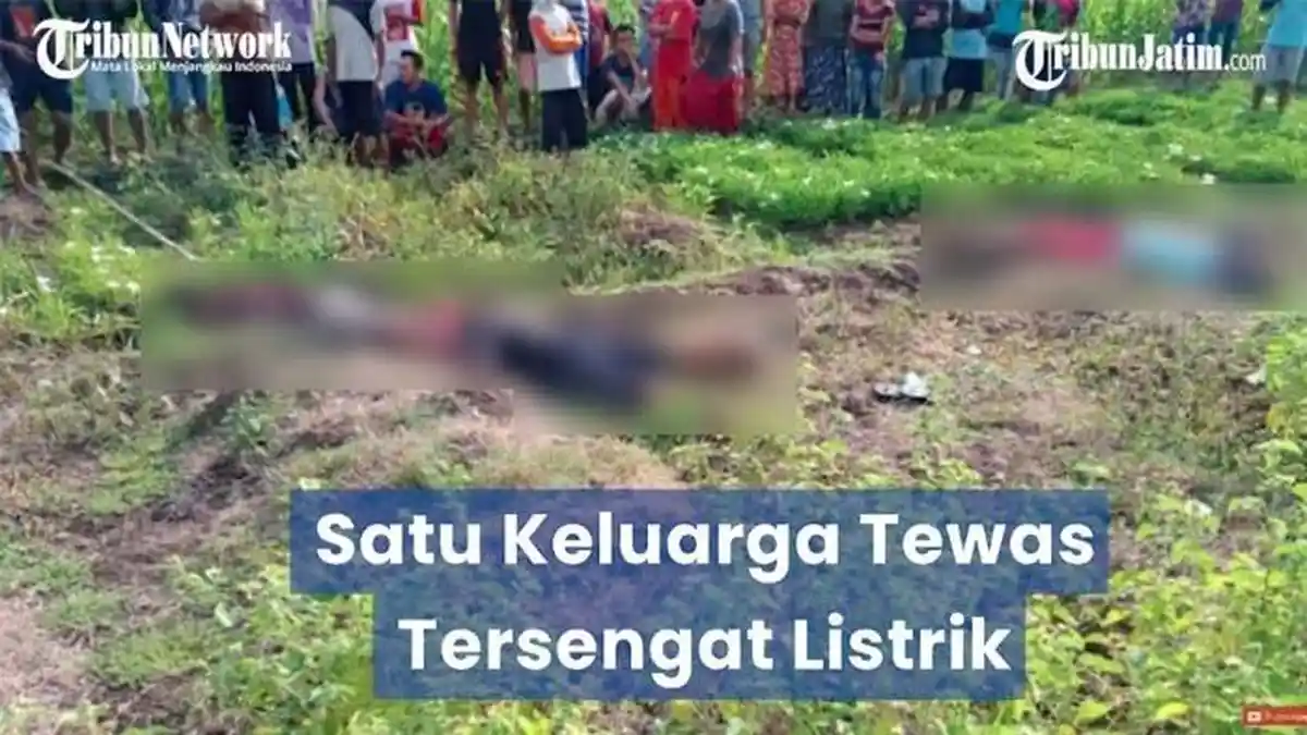 Terungkap Penyebab Sekeluarga Tewas di Sawah, Bukan Kesetrum Jebakan Tikus Tapi Karena Ini