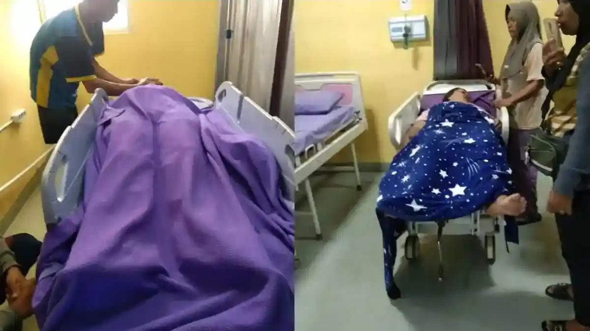 6 Pekerja Kebun Disambar Petir Ketika Sedang Berteduh, Satu Orang ...