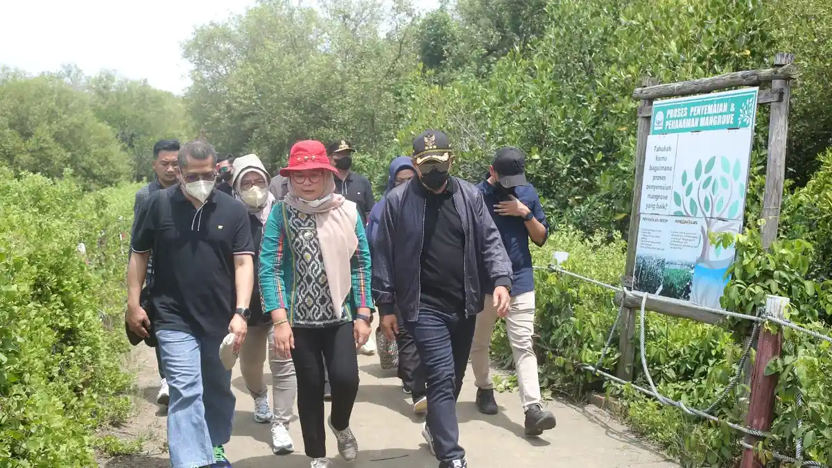 Mengagumi Pesona Ekowisata Mangrove di Karangsong