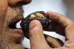Manis Kurma Suguhan Ramadan untuk Semua Muslim