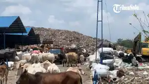 Kondisi-PLTSa-dan-TPA-Putri-Cempo-belum-lama-ini.jpg