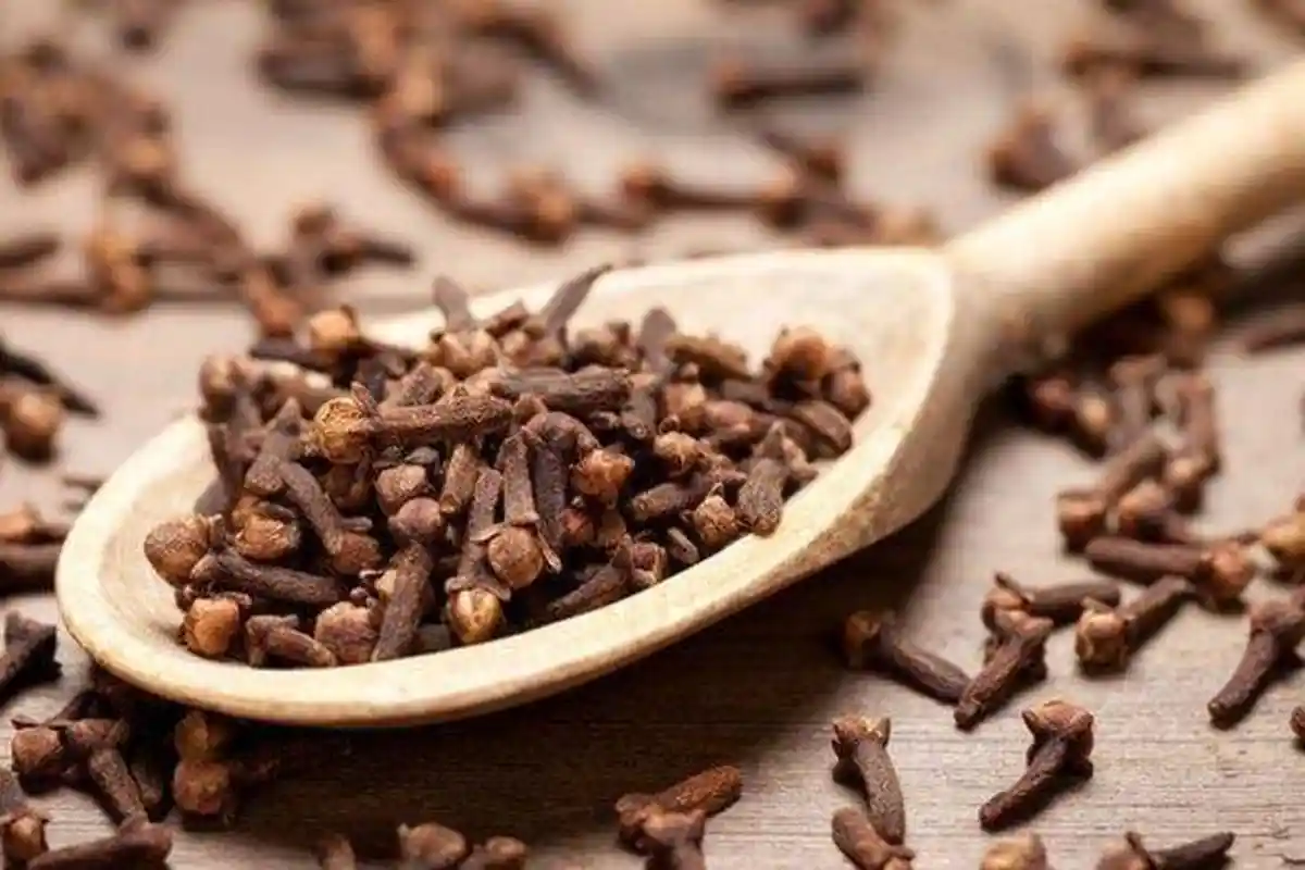 Khasiat Cengkeh untuk Mengatasi Bau Mulut, Begini Cara Penggunaan dan Efek Sampingnya