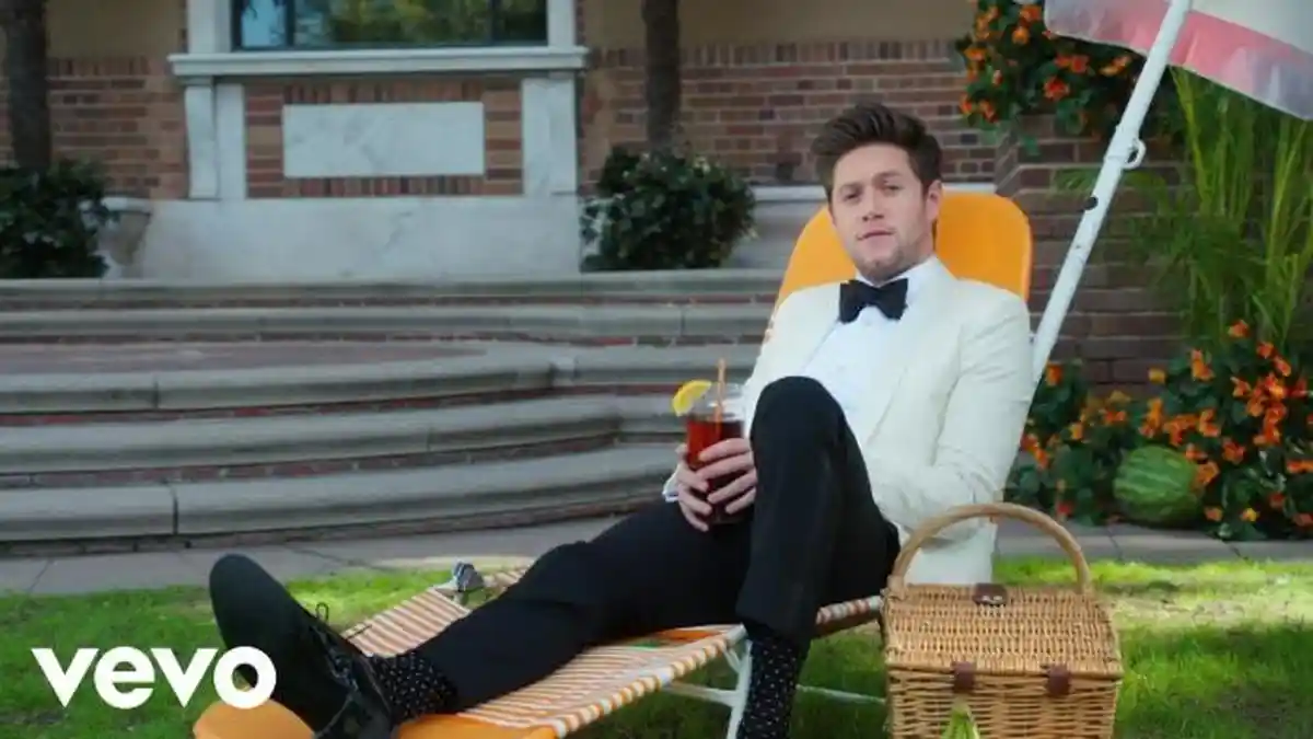 Lirik dan Terjemahan Bahasa Indonesia Lagu 'No Judgement' - Niall Horan, Kamu Bisa Jadi Diri Sendiri
