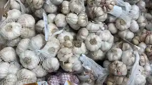 harga-bawang-putih-naik-rp-43500-per-kilogram-vv.jpg