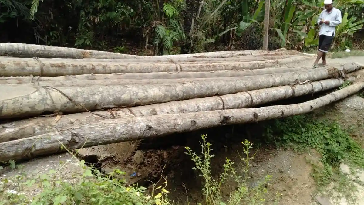 Sudah 5 Bulan Warga Desa Tangkoro Pitumpanua Wajo-Sidrap Menderita Lewati Jembatan Putus