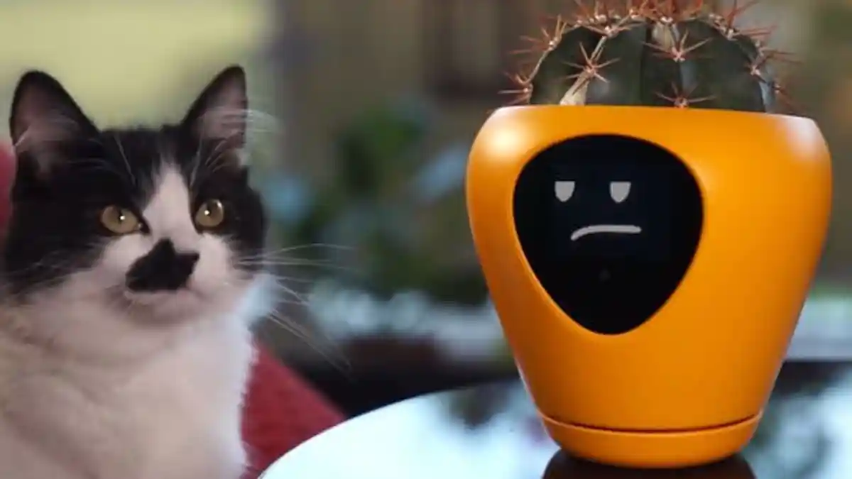 Hobi Bercocok Tanam, Pot Pintar yang Canggih Ini Bisa Jadi Pilihan, Bikin Tanaman Jadi Lebih 'Hidup'