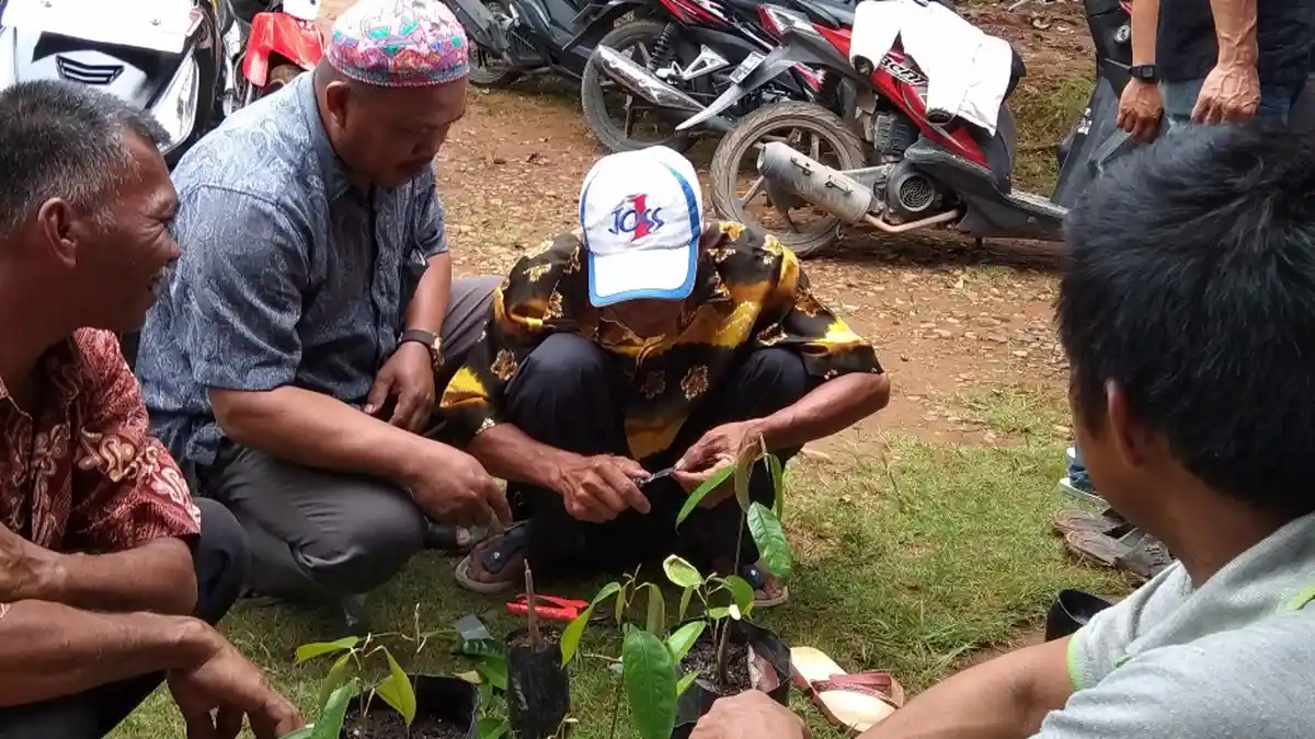 KalselPedia: Desa Biih, Sentra Durian di Bumi Barakat