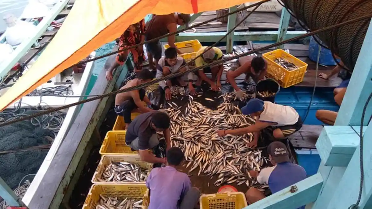 Mayoritas Alat Tangkap Nelayan Aceh Singkil Masih Tradisional, Potensi Ikan belum Tergarap Maksimal