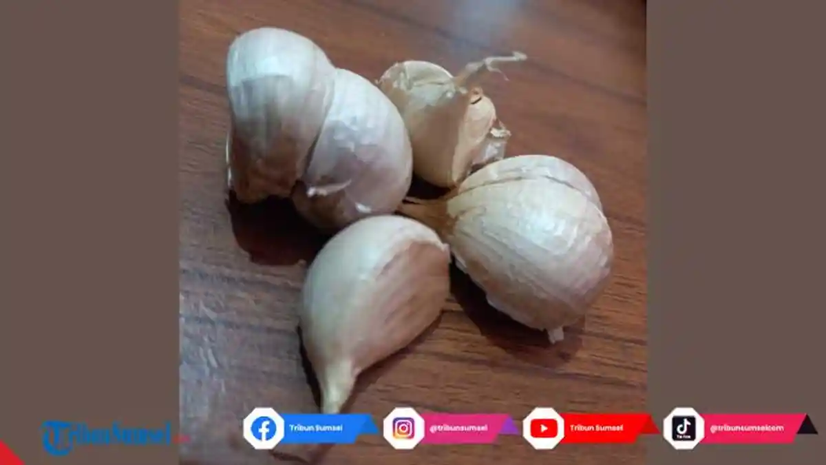 Manfaat Bawang Putih Sebagai Obat untuk Mengurangi Hidung Tersumbat Menurut Dokter Kamaluddin