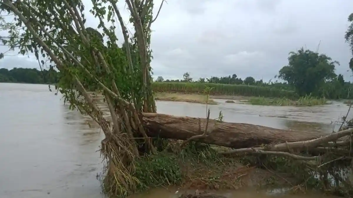 Erosi Krueng Teunom Ancam Permukiman dan Kebun Warga - Serambinews.com
