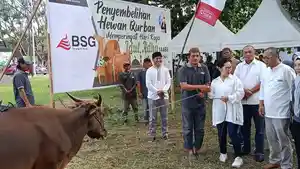 HEWAN-KURBAN-Penyerahan-simbolis-18-ekor-sapi-kurban-oleh-Direksi-BSGLO0.jpg
