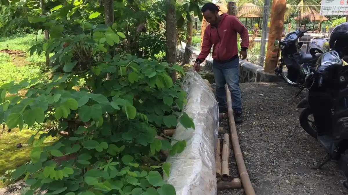 Batu Menhir Raksasa yang Ditemukan di Gunungkidul, Berumur 2000 SM